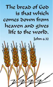 Year B After Pentecost Proper 13