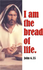 Year B After Pentecost Proper 13