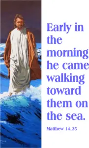 Year A After Pentecost Proper 14