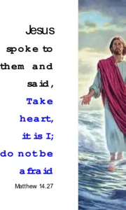 Year A After Pentecost Proper 14