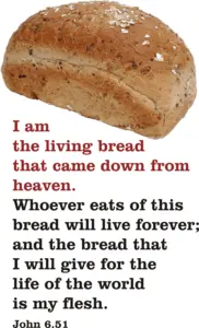 Year B After Pentecost Proper 14