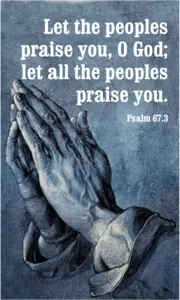 Year A After Pentecost Proper 15
