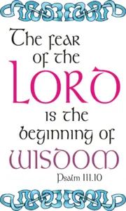 Year B After Pentecost Proper 15