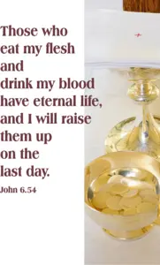 Year B After Pentecost Proper 15
