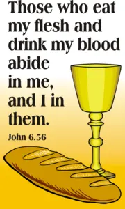 Year B After Pentecost Proper 15