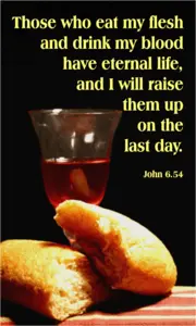 Year B After Pentecost Proper 15