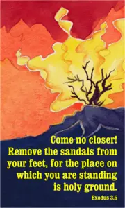 Year A After Pentecost Proper 17