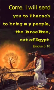 Year A After Pentecost Proper 17