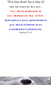 Year A After Pentecost Proper 18