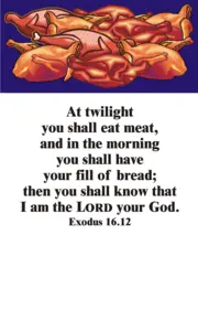 Year A After Pentecost Proper 20
