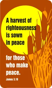 Year B After Pentecost Proper 20