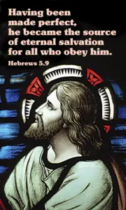 Year B After Pentecost Proper 24