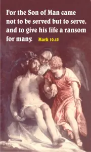 Year B After Pentecost Proper 24