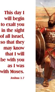 Year A After Pentecost Proper 26