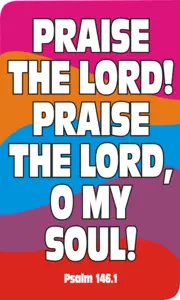 Year B After Pentecost Proper 27