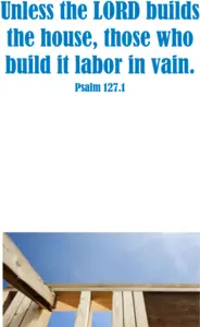 Year B After Pentecost Proper 27