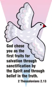 Year C After Pentecost Proper 27