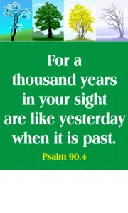 Year A After Pentecost Proper 28