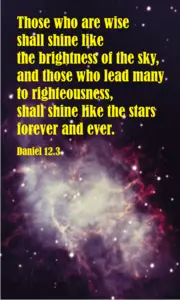 Year B After Pentecost Proper 28