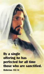 Year B After Pentecost Proper 28