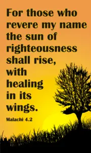 Year C After Pentecost Proper 28