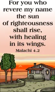 Year C After Pentecost Proper 28