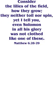 Year A Epiphany Eighth Sunday 