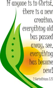 Year B After Pentecost Proper 6