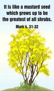 Year B After Pentecost Proper 6