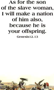 Year A After Pentecost Proper 7