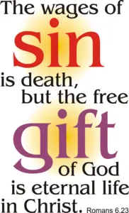 Year A After Pentecost Proper 8