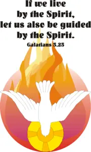 Year C After Pentecost Proper 8