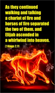 Year C After Pentecost Proper 8