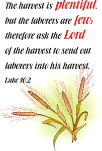 Year C After Pentecost Proper 9