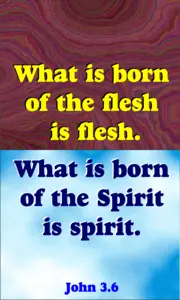 Year B After Pentecost Trinity Sunday